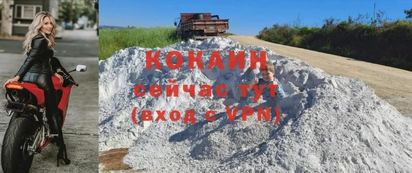СК Няндома
