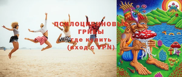 PSILOCYBIN Осташков