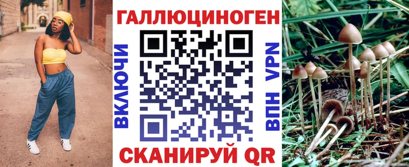 Купить  Калач  Псилоцибиновые грибы прущие грибы 
